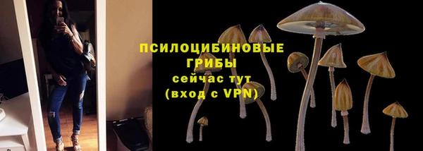 мдпв Абаза