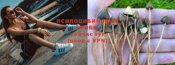 круглые Алзамай