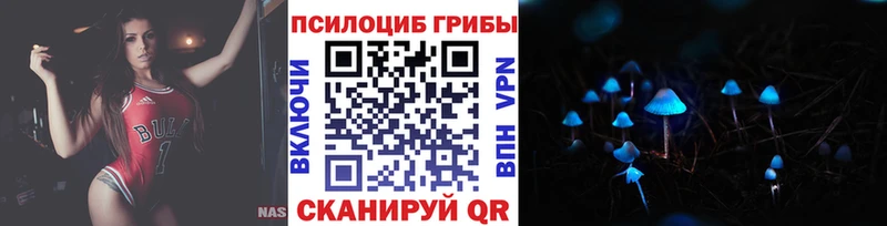 Псилоцибиновые грибы мухоморы  блэк спрут онион  Бирюсинск  где купить наркоту 